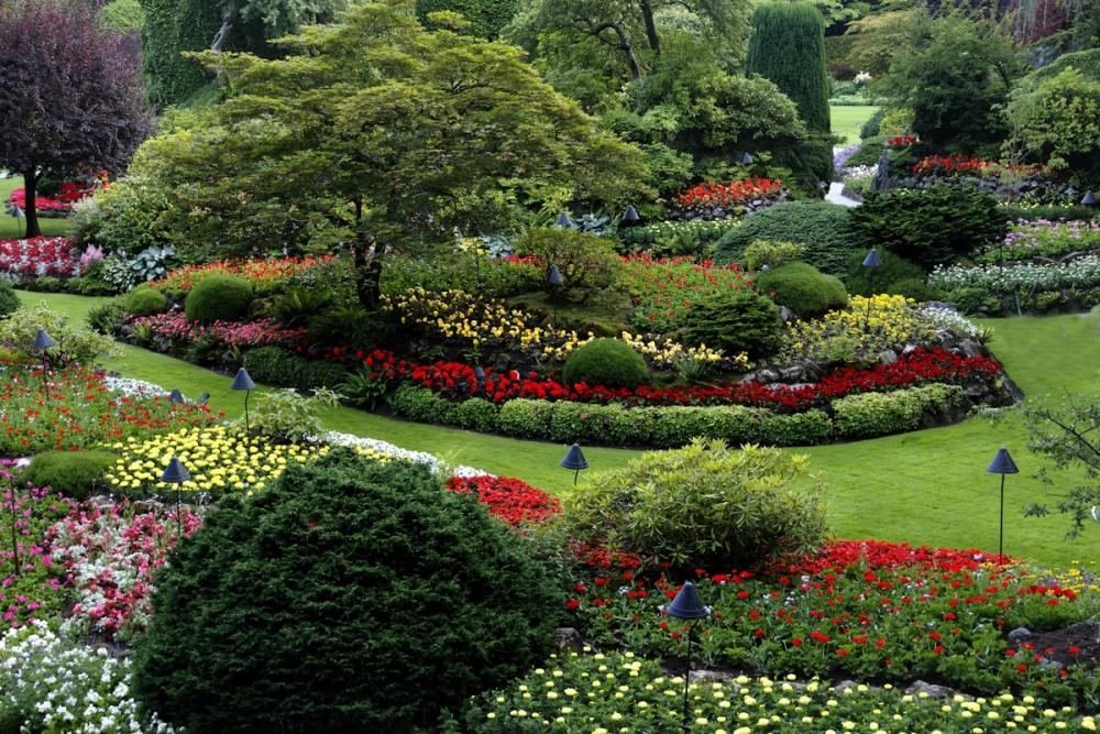 Dense flowering borders curving around a mown lawn