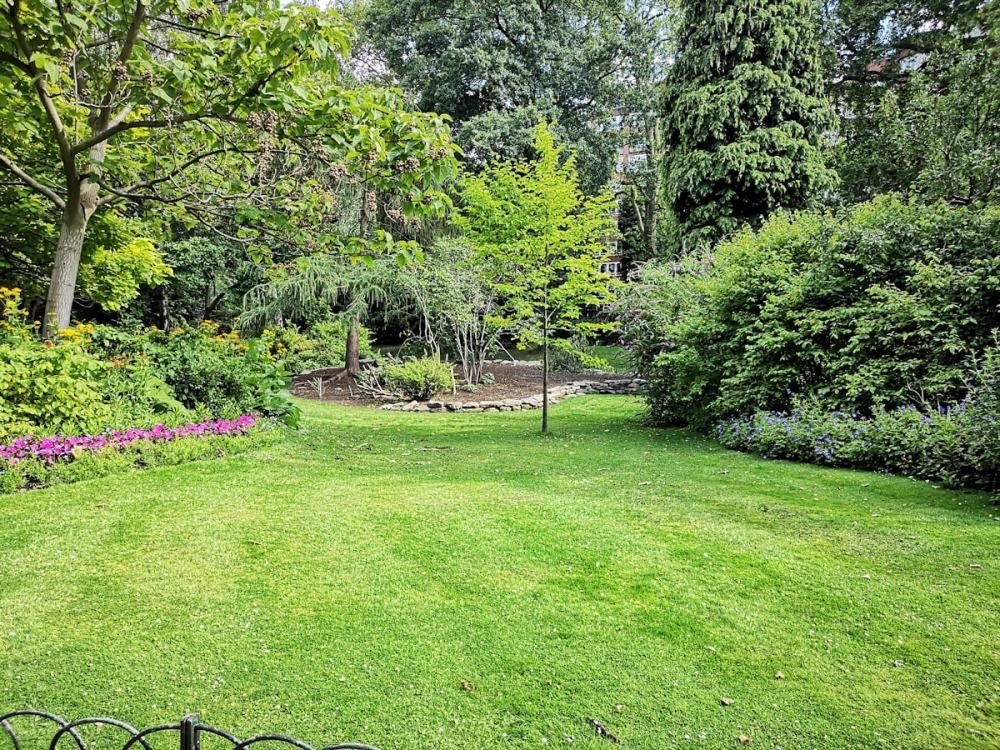 A lawn framed by mature planting beds and specimen shrubs
